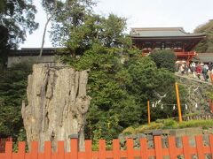秋の古都鎌倉を散策　落ち着きのある寿福寺の参道