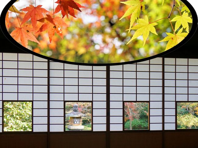 紅葉の名所の『東福寺』で秋景色を楽しんだ後、日本で唯一皇室の菩提寺である泉涌寺の別院の『雲龍院』を訪れました。ここでは秋の「しきしの景色」を楽しみ・・・<br /><br />その後、紅葉が美しい『来迎院』と『今熊野観音寺』を訪ねました。