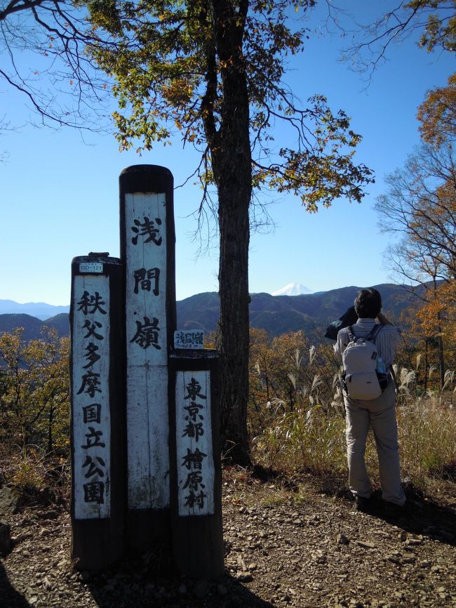 同窓生10名と秩父多摩の浅間嶺に登ってきました。<br />計画では浅間尾根登山口バス停スタートでしたが、日が短い季節だが、払沢の滝を見たいので急遽、上川乗バス停から登り始めるショートコースに切り替えました。<br /><br />2015年登山記録<br />　1.10　　 石老山<br />　1.18　　 青梅丘陵<br />　2.09 　　シダンゴ山<br />　2.14　　 箱根明星ケ岳<br />　3.07　　 湯河原城山<br />　3.15 　　谷川一の倉沢出合<br />　4.12 　　城山かたくりの里〜城山湖〜津久井湖<br />　4.25 　　坪山<br />　5.03 　　岩殿山〜稚児落とし<br />　5.16〜17雲取山<br />　 6.27〜7.4 ドロミテ・ハイキング<br />　9.29 　 大霧山<br />　11.12 　奥久慈男体山<br />　11.28   　浅間嶺