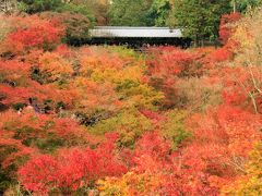 3連休　紅葉の京都