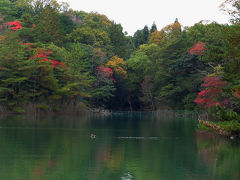 秋の いなべ公園ウォーキング(三重県いなべ市)　2015年11月