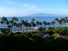 写真整理をしてたら思い出しちゃったチョットつらいマウイ旅行