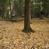 2015釜山へ　①　成田公園紅葉祭