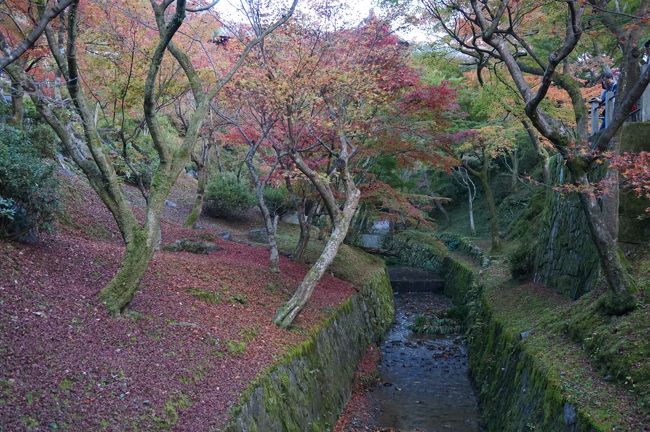 11月の三連休!<br />小さい秋を見つけに、京都、三重、奈良をぐるぐるしてきました。<br /><br />最初は京都！<br />あちこちでおいしいものや名物をちょこちょこつまみながら<br />観光です。<br />