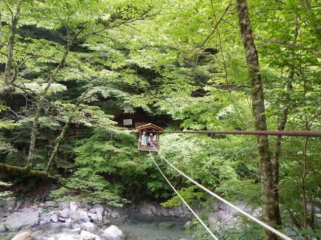 剣山を無事に下山した私たち６人は、まだお宿に向かうには時間があるので、『奥祖谷二重かずら橋』に行くことになりました。<br />JOECOOL夫婦は二度目ですが他の方々は初訪問だったので、二重かずら橋も野猿もとても楽しめました〜♪