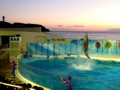 親子で楽しむ新江ノ島水族館～えのすい×チームラボ☆ナイトワンダーアクアリウム～