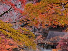 紅葉の名所　香嵐渓