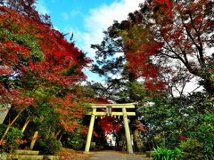 情緒纏綿 大阪 箕面逍遥③聖天展望台・聖天宮西江寺