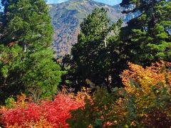 立山黒部アルペンルート-4　高原の紅葉　真っ盛り　バス車窓風景　☆高度を上げて