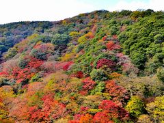 情緒纏綿 大阪 箕面逍遥④箕面公園＜後編＞エピローグ