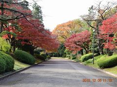 【東京散策42】 普段は入れない皇居乾通り秋の一般公開