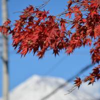 私も紅葉が見たい、美味しい物が食べたい、温泉も入りたい、お寺も周りたい-欲張り編