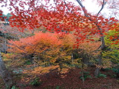 宝筐院（ほうきょういん）