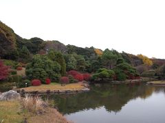 東京十社めぐり⑦白山神社～晩秋の小石川植物園