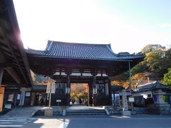 2015年紅葉　日吉大社・石山寺　～赤くならないもみじ～