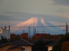 ふじみ野市から見られた素晴らしい朝焼け富士