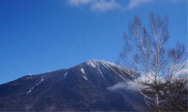 雪景色の戦場ヶ原 シーズン最終日の野鳥探しトレッキング