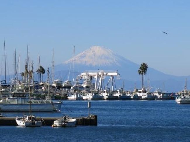 「みさきまぐろきっぷ」を使って三浦半島へ。<br /><br /><br />海の見える公園をハイキング<br />　↓<br />マグロ三昧のランチを堪能<br />　↓<br />絶景富士山と海を眺める<br />　↓<br />サンセットクルーズ<br /><br /><br />充実の１日でした。<br /><br />まぐろきっぷ、お得です！