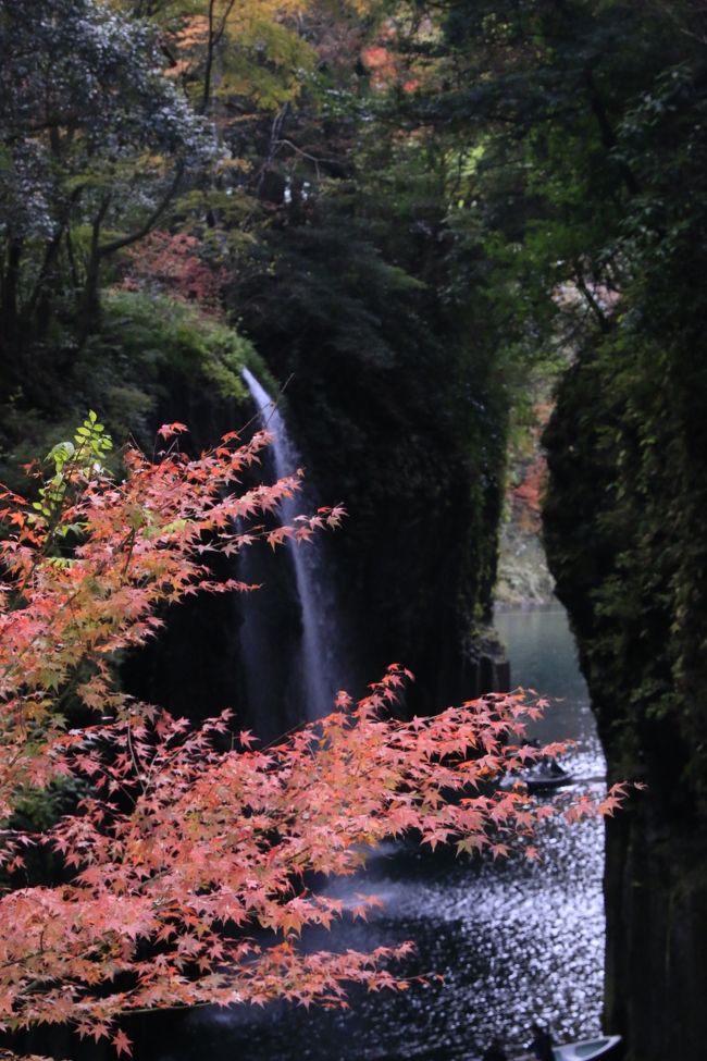 ＧＷにくじゅう、高千穂峡などを旅した際、紅葉の時期にも訪れたいと思っていました。で、11月の3連休、といっても1年前の連休ですが（＾＾；）、九州各地の紅葉カレンダーとにらめっこしながら、五家荘、高千穂、竹田、阿蘇などをドライブし、紅葉だけでなく夜神楽やマイナスイオンたっぷりの滝、ラピュタの丘など壮大な風景を楽しんできました。<br /><br />11月22日　東京→熊本<br /> 　　　　　通潤橋、五家荘（梅の木轟公園吊橋、梅の木轟の滝）、高千穂夜神楽<br /> 　　　　　　宿泊：雲海の宿千木（国見ケ丘）　<br /><br />11月23日　国見ケ丘、高千穂峡、蘇陽峡、竹田岡城跡<br /> 　　　　　　宿泊：四季の里はなむら（小田温泉）<br /><br />11月24日　夫婦滝、阿蘇やまなみハイウェイ、ミルクロード、ラピュタの丘<br /> 　　　　　福岡→東京