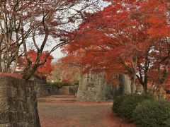 九州　滝と紅葉を巡るドライブ　（4）紅に染まった岡城址