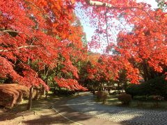 日本民家園（生田緑地）♪～２０１５～