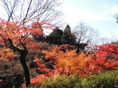 京都旅行(嵐山)