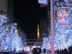 2015冬＊東京散歩＊六本木ヒルズ クリスマス2015