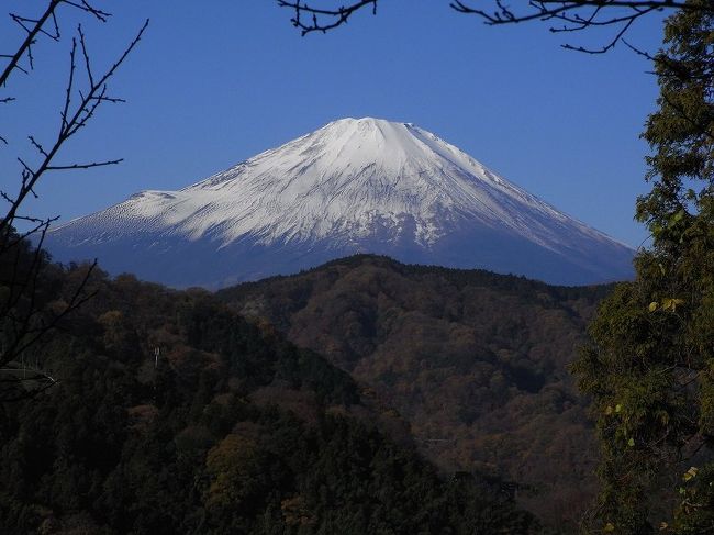 奥さんのリクエストでハイキングに出かけました、大野山と言う希望は無かったけれど、私が約６０年ぶりに西丹沢の大野山に行ってみることにしました。<br /><br />コースは山北からと谷峨からがありますが、谷峨からのコースが展望がよく<br />山北から登らないで正解でした。<br /><br />奥さんが購入した横浜ウォーカー　神奈川の山登り＆ハイキングがとても参考になりました。