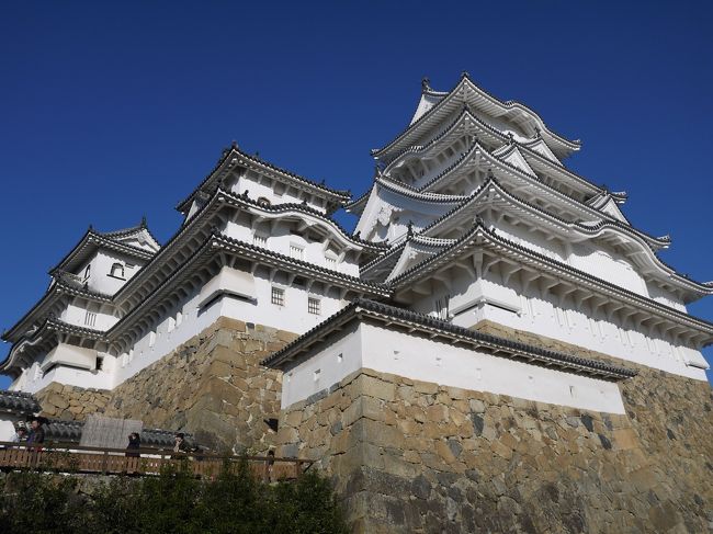 やっと真っ白な姫路城に！日本のマチュピチュと言われる竹田城跡へは脚の丈夫なうちに(笑)<br />快晴のなかにうかぶ姿はどちらも目に焼き付いててステキ