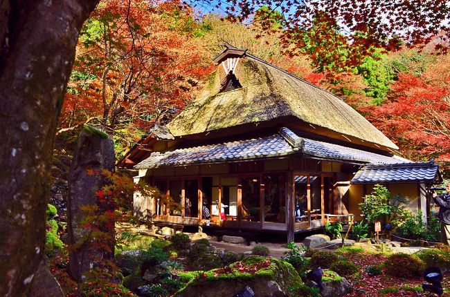 2015紅葉（9） 湖中大鳥居＆かくれ里の寺院・教林坊