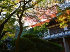 ちょこっと鎌倉　報国寺の紅葉