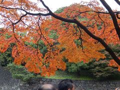 皇居・乾通りを歩く②山下通&#12316;乾門迄