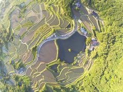 013島流し　棚田１００選、山口県東後畑の棚田の空撮