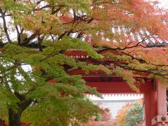 ２０１５年１１月　 京都１日目　その１　京都平安神宮周辺と金戒光明寺　フェルメール展と紅葉