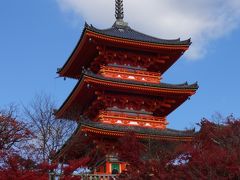 紅葉の京都　2015.12月　初めてのAir bnb 利用　嵐山編　Ｎｏ１ 