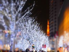 ２０１５年１２月　キラキラ煌めく東京へ★ｖｏｌ.１「かんだやぶそば」でランチ～六本木ヒルズクリスマスマーケット～六本木イルミネーション★