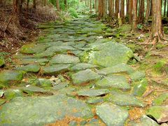 仕事ばかりじゃカラダがナマる！世界遺産熊野古道伊勢路を行く！③ これぞ熊野古道！【馬越峠】を歩く