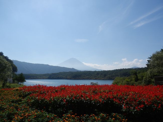 過去の旅行を思い出しつつ整理，作成した回顧録兼備忘録．<br />作成中に再発見もあり，再訪のきっかけになるやも．<br /><br />2013年9月前半3連休に転勤で仙台に戻り，後半3連休に山梨を訪問．<br />大善寺，清白寺，甲斐善光寺などの国宝(重文)建造物を有する寺院や富士五湖周辺などを巡る．<br />2日日は朝一で甲府より富士山麓へ．富士五湖周辺を散策．