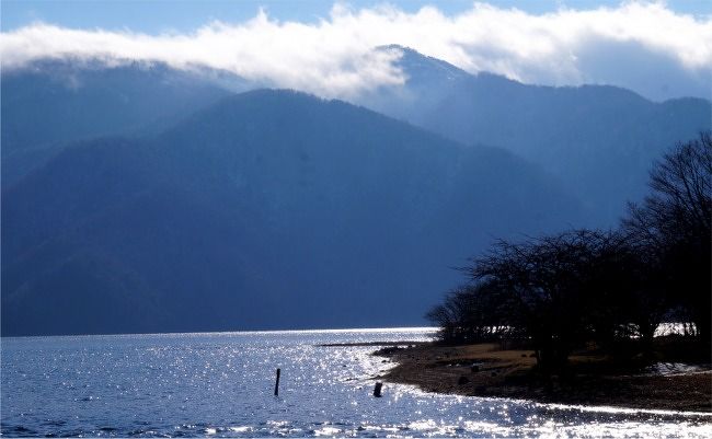 初冬の中禅寺湖畔散策。野鳥と明治のリゾート文化遺構を発見。