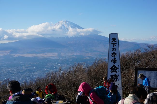 前日に今日の天気予報を見たら晴れマーク。どこかの山に行きたいなあ〜と4トラべラーの夏さんをお誘いしたら、急な誘いにもかかわらず快くＯＫの返事。富士山の眺めが素晴らしい金時山に登ることにしました。<br /><br />夏さんも私も金時山に登ったことがあります。夏さんは新宿から高速バスで行ったそうですが、渋滞が気になったので新宿からロマンスカーで箱根湯元、そこからバスで行くルートを選びました。<br /><br />登山口も色々ありますが、比較的楽な乙女口から登ります<br /><br />2012年の金時山旅行記<br />http://4travel.jp/travelogue/10735231