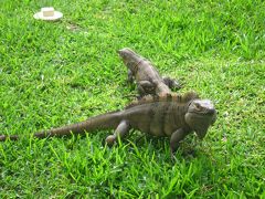 サンフランシスコの旅行記