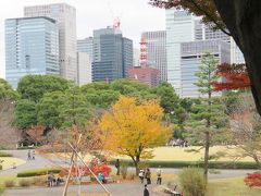 紅葉を求めて皇居・乾門より東御苑へ歩く①天守台～本丸～汐見坂