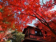 覚王山　揚輝荘の美しい紅葉　ニクバルダカラでランチ＆ロンドンカップケーキのかわいいカップケーキ