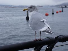 2泊4日のバンクーバー  (また私だけ)カナダ出国  その後那覇へ  機内で朝ゴハンを食べられれば来年度もＰ決定