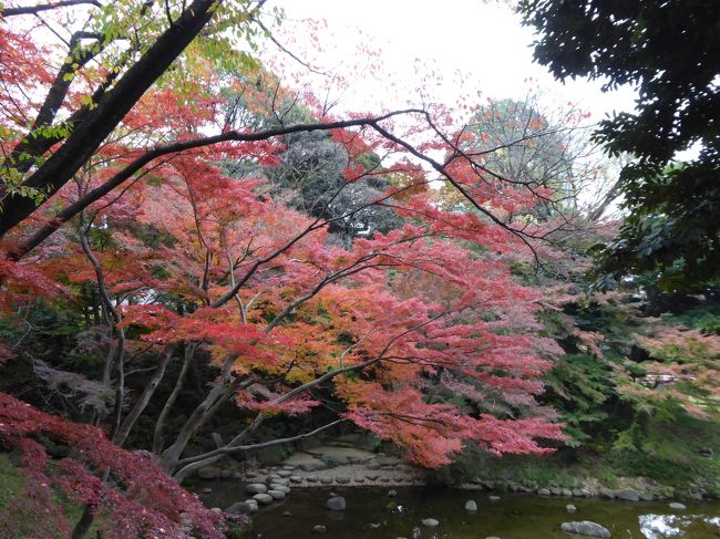 初冬の紅葉「小石川後楽園」優雅な鑑賞♪