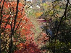 湖東三山チャリで周る、「東光寺～永源寺」紅葉を気待していたのですが（＾＾；）