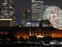 夜景は横浜港大さん橋から～～