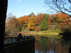 小さな旅　所沢・多摩湖の秋景色　Autumn color in my town Tokorozawa/Lake Tama