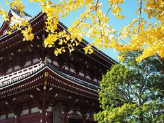 イチョウ輝く浅草寺と揚げ饅頭