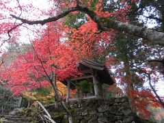 湖東紅葉の名勝、西明寺。紅葉と古刹の見事な共演でした。